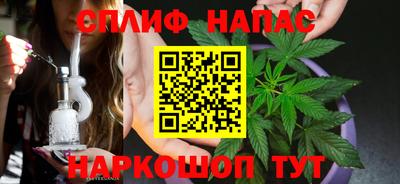 дурь Кингисепп