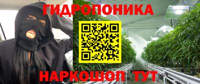 ГАЛЛЮЦИНОГЕННЫЕ ГРИБЫ Кимры