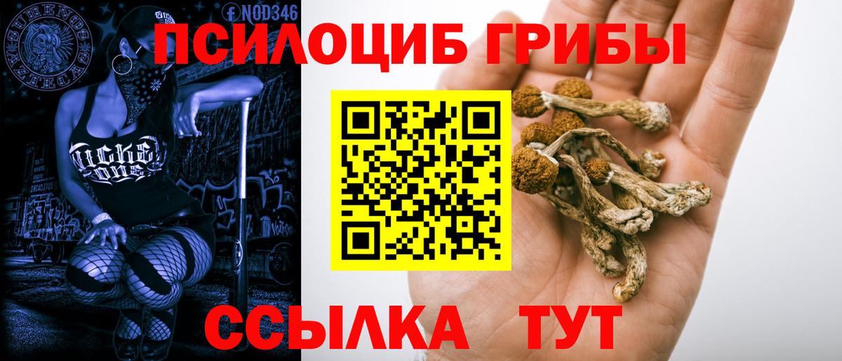 Котовск  Галлюциногенные грибы мицелий  Вход с VPN 